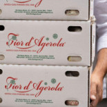 La Piola Pizza Carte