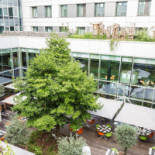 The Twelve Extérieur