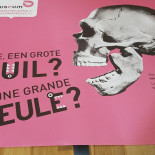 De Bruxelles Et D'ailleurs Carte