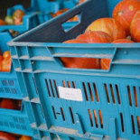 Nona Pizza St-cat Boisson