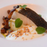 Ant De Heer Kocken Comida