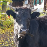 The Dominican Exterior