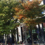 Living Room (being Acquired By A New Owner- Utamu Collective) Extérieur