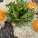 Quel Pain Nourriture