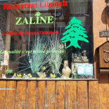 Zaline Carte