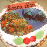 Pacitti Al Nourriture