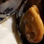 Le Zinneke Nourriture