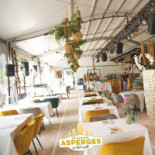 Pop-up Asperges In Het Veld Cromvoirt Dentro