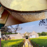 Pop-up Asperges In Het Veld Cromvoirt Bebida