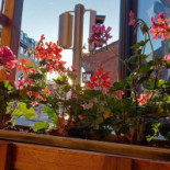 Agra Indian Extérieur