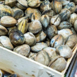 Grandes Marées Bebida