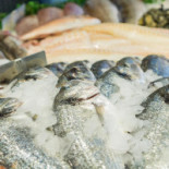 Grandes Marées Wayez Boisson