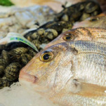 Grandes Marées Wayez Bebida