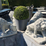 Cafe Maris Extérieur