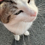 Dc Drogenbos Boisson