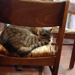 Sky Z Park À l'intérieur