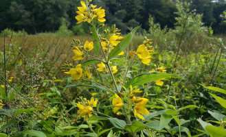 De Spaarbankhoeve B.v. Fluitenberg Extérieur