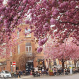 Python Beer Cellar Extérieur