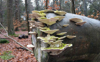 De Spaarbankhoeve B.v. Fluitenberg Exterior