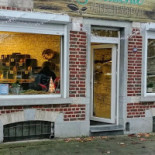 Succulente Extérieur