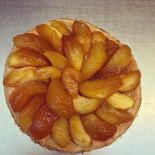 Succulente Nourriture