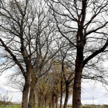 Firma Bakker Extérieur
