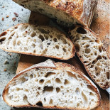 Succulente Nourriture