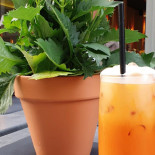 Chaba Thai Brussels Boisson