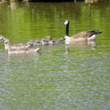 Mr Pacha Kebab Extérieur