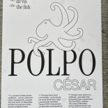 Polpo Fish Carte