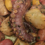 Polpo Fish Nourriture