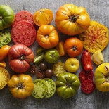 Lamexicanabe Nourriture