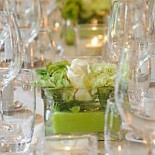 Berkenhof Services Bvba Bebida