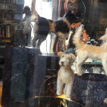 Café De Bel Boisson