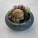 Colors Burger Bebida