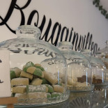 Bougainvillea Brussels Boisson