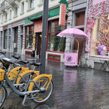 Belrose Cake Extérieur