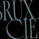 Bruxciel Rooftop Logo