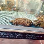 Hameeteman's Vishandel B.v. Boisson