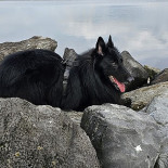 Hameeteman's Vishandel B.v. Boisson