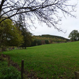 Le Gastromme Extérieur