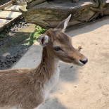 Le Mökki Extérieur