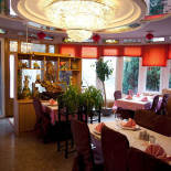 Le Begonia Chinois À l'intérieur