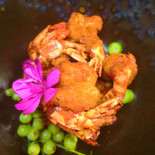 Le Begonia Chinois Essen