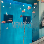 Nemo33 Carta