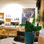 L'arche De Noé À l'intérieur