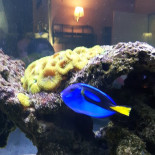 La Poele Vache Extérieur