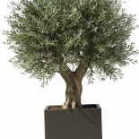 Terras-pot.nl Extérieur