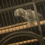 Café Le Bonheur Extérieur