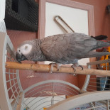 Café Le Bonheur Boisson